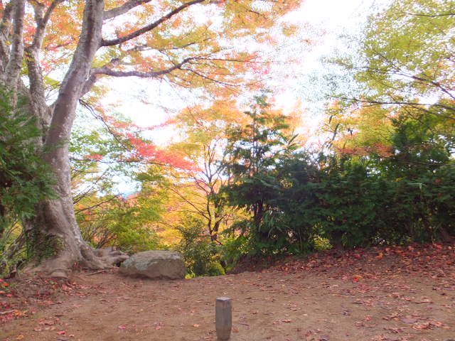 香積寺と飯盛山　～香嵐渓～_a0271502_15395664.jpg