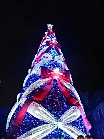 b0153002_0334140.jpg