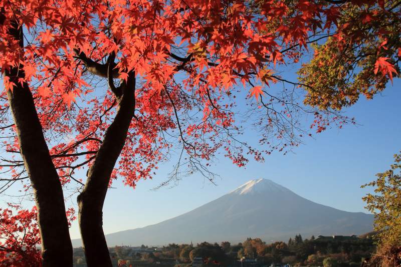 河口湖の紅葉～大放出_a0188405_09382602.jpg