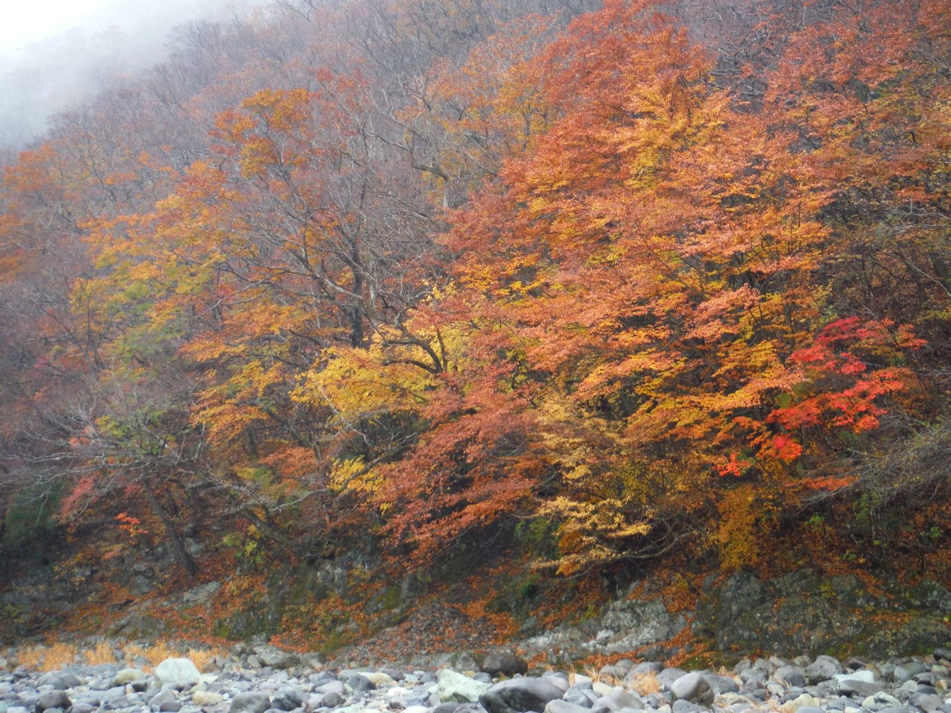 b0172805_3144689.jpg