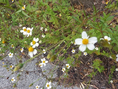 c0280206_13255037.jpg