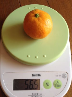 小みかん、いかがですか〜_a0300410_11463854.jpg