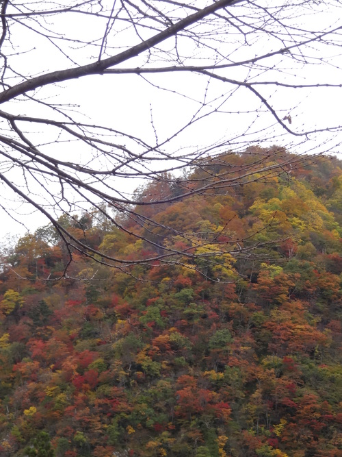 c0279611_21103653.jpg