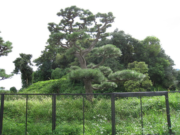 d0287413_13183152.jpg