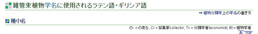 アメリカヤマボウシとジャパニーズ・ドッグウッド_c0025115_17393130.jpg