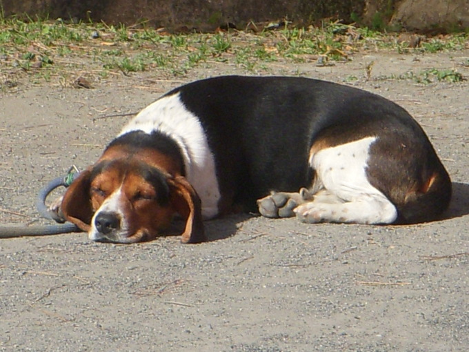 f0260120_2252527.jpg