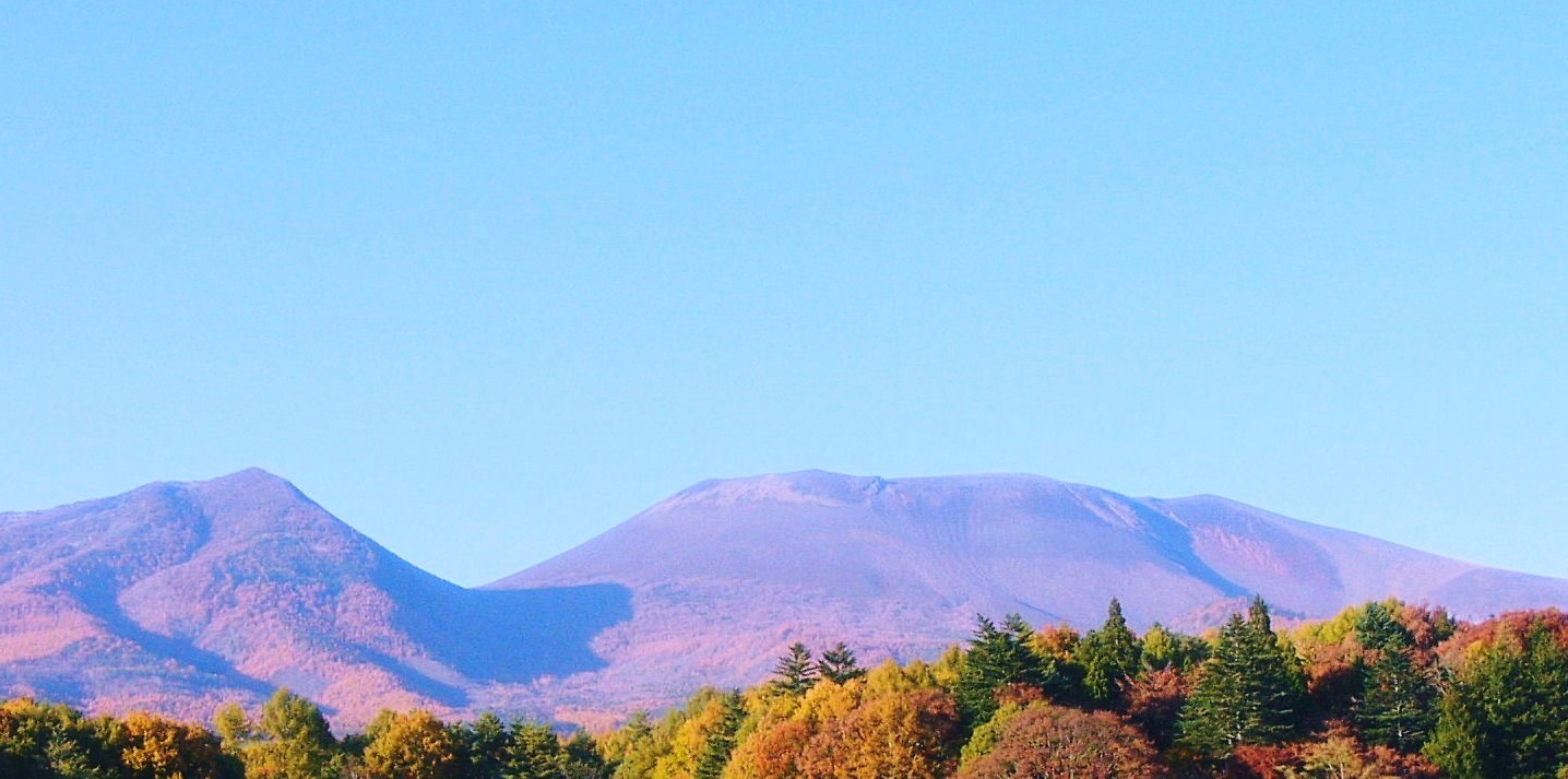 a0146024_09461024.jpg