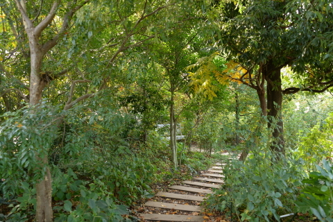 e0335926_22435308.jpg