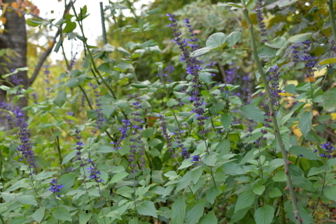 e0335926_22500551.jpg
