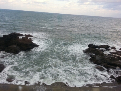 f0009028_904661.jpg