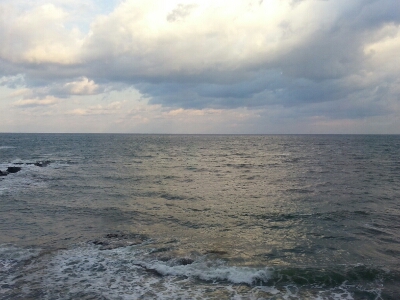 f0009028_90575.jpg