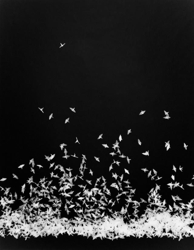 展覧会「JITTER#02 M84」_b0187229_2241420.jpg