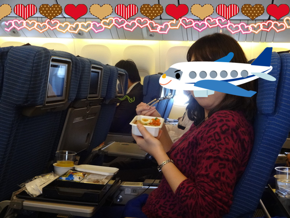 ２０１４年１１月　女子旅ｉｎソウル♪その２　機内食編_d0219834_2258478.png