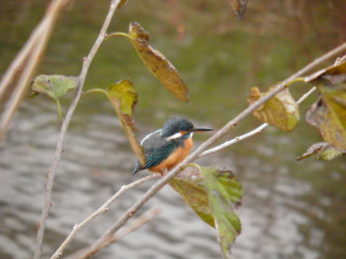 c0338136_23153220.jpg