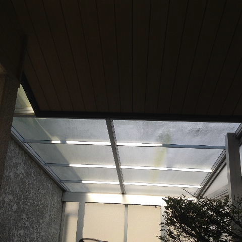 走る回る日_f0031037_17433092.jpg