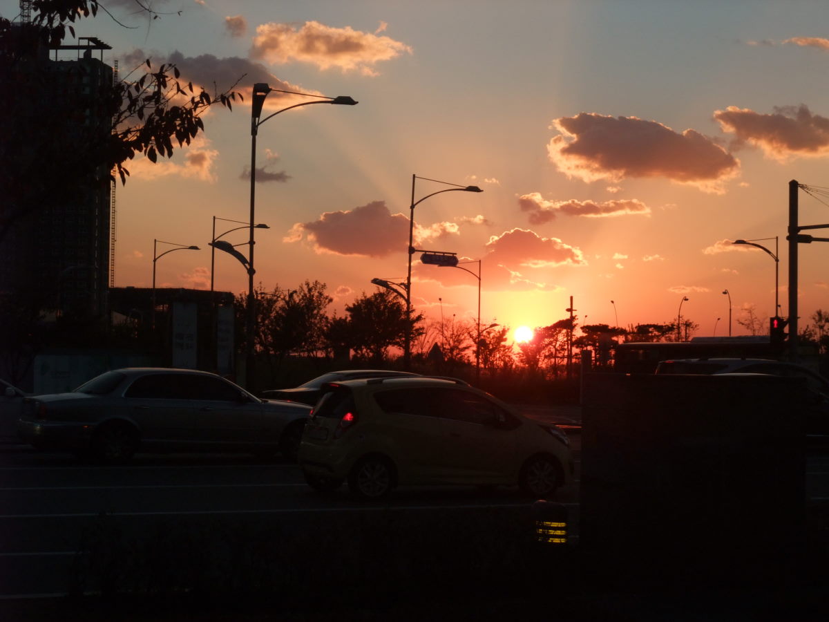 a0303241_00437.jpg