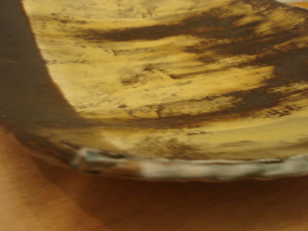 杉尾信康展のご案内_b0132442_17404146.jpg