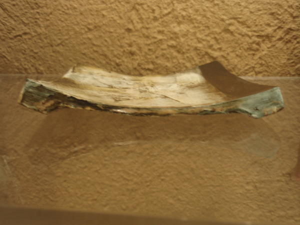杉尾信康展のご案内_b0132442_17433390.jpg