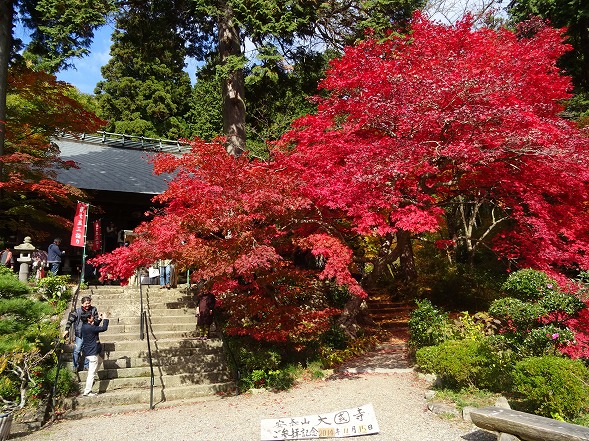 篠山市 大国寺の紅葉見ごろ 彩の気まぐれ写真