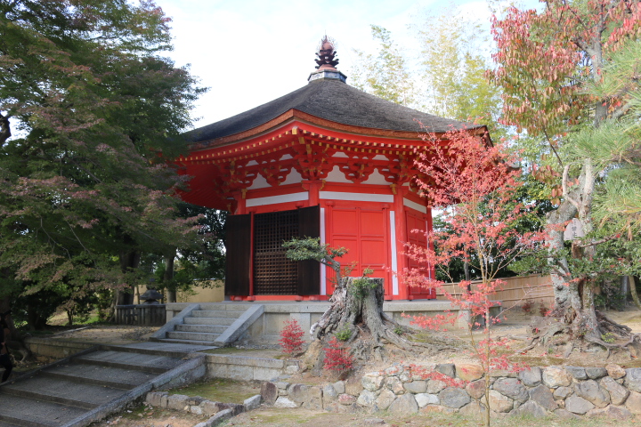 京都　東福寺　紅葉_f0334143_20231867.jpg