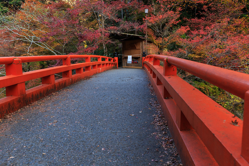 高雄・西明寺の秋景色_f0155048_0244989.jpg