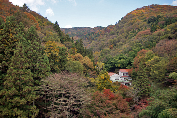 f0214649_59421.jpg
