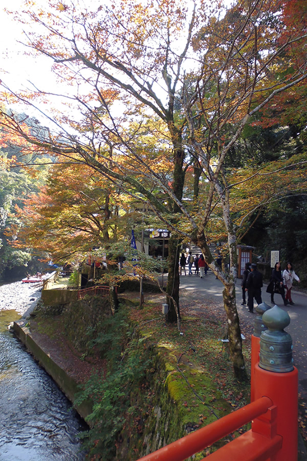 ぶらり京都-72 [高雄のもみじ・高尾山 神護寺]_f0190950_15152738.jpg