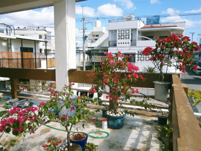 c0180460_17244752.jpg