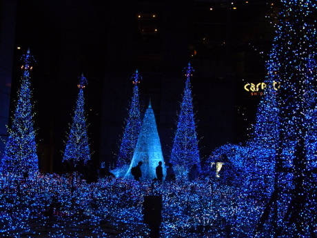 b0324461_16284426.jpg