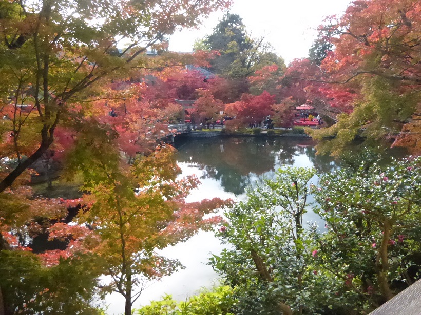 永観堂_f0205367_22255396.jpg