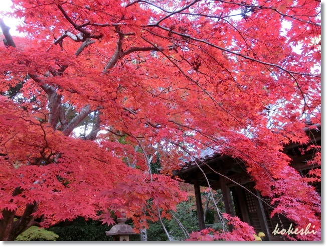 大門寺_f0179469_22453780.jpg