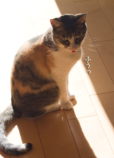 a0119470_0105329.jpg