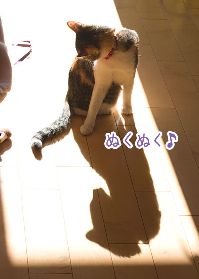 a0119470_011148.jpg