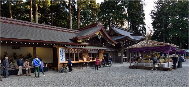 弥彦神社_a0079473_15132880.jpg