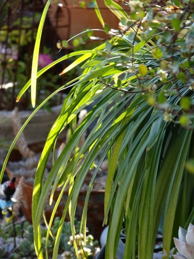 e0264374_12512279.jpg