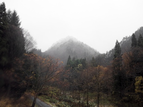 e0255775_11315745.jpg