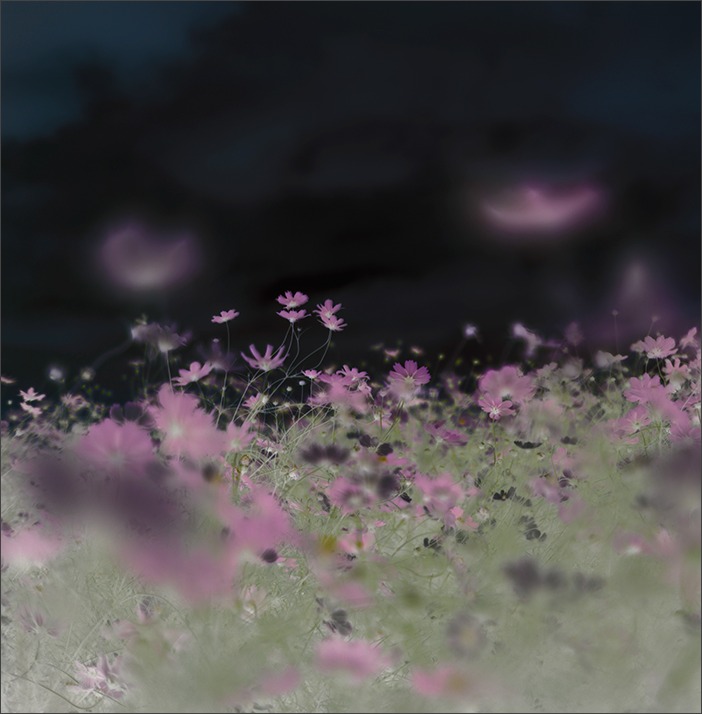 壁_a0161380_07821.jpg