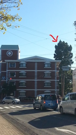 f0228680_9492242.jpg