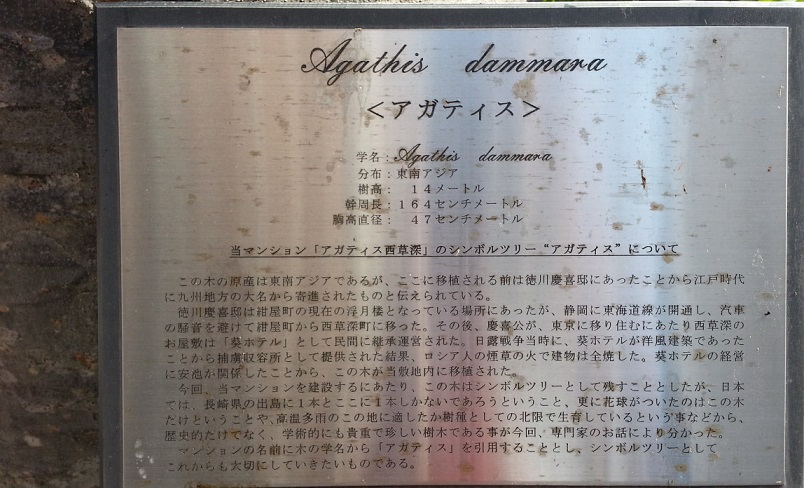 f0228680_9515290.jpg