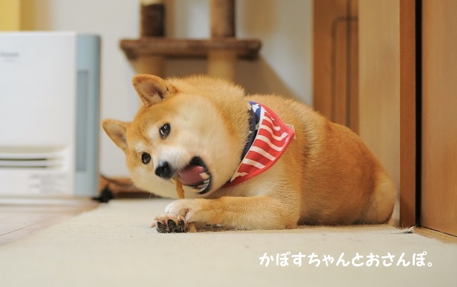 アツアツ弁当_a0126590_23220612.jpg