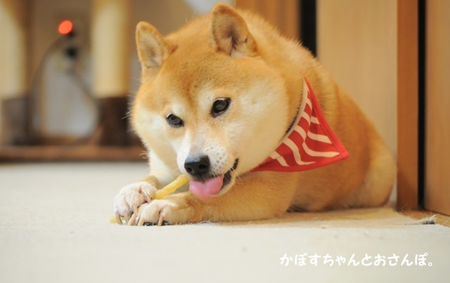 アツアツ弁当_a0126590_23223743.jpg