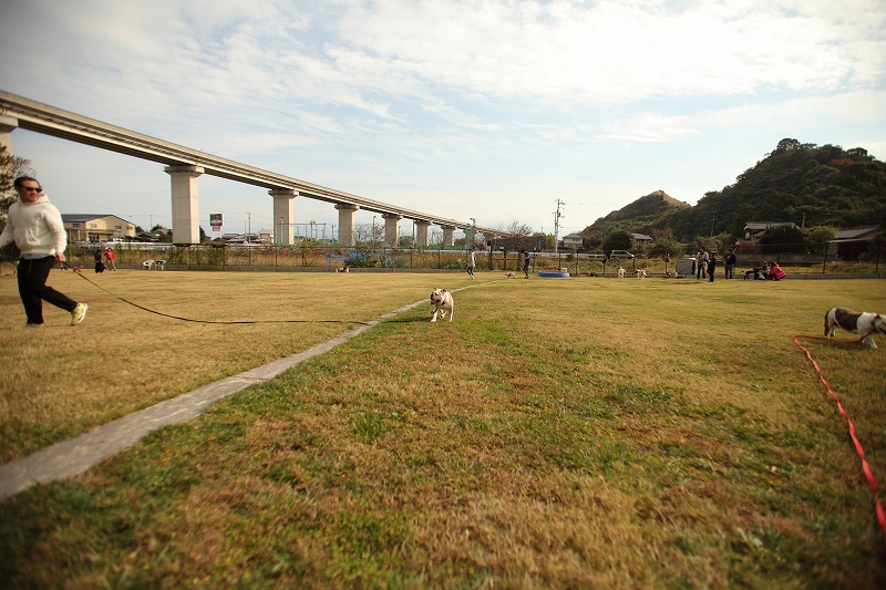 e0185090_16565631.jpg