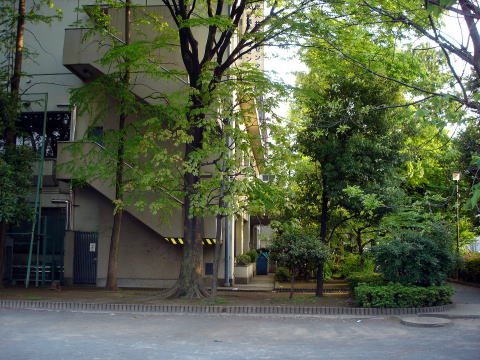 アートセラピーとして品川区の施設で11/9_f0071893_10125971.jpg