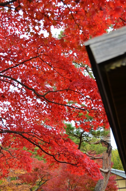 a0169902_23115139.jpg