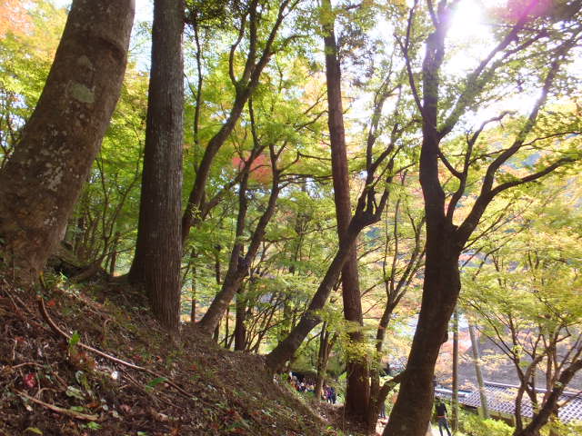 香積寺と飯盛山　～香嵐渓～_a0271502_16172323.jpg