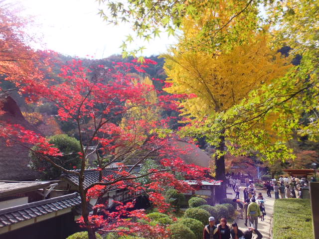 香積寺と飯盛山　～香嵐渓～_a0271502_16185980.jpg