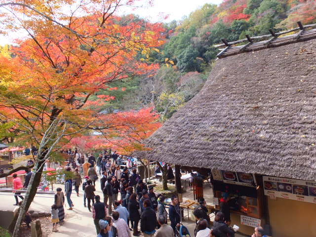 a0271502_1638069.jpg