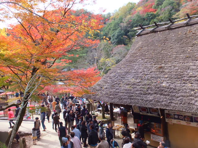 香積寺と飯盛山　～香嵐渓～_a0271502_1638069.jpg