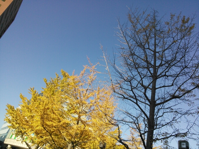 c0212604_6251246.jpg