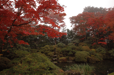 輪王寺　逍遥園　ライトアップ_a0320705_16121571.jpg